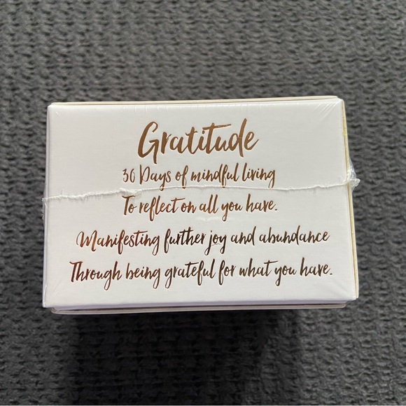 Gratitude Pen and 30 days of Prompts - Picture 5 of 7
